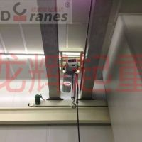 ���P䓷������ؙC(j��)�����������ؙC(j��)��stainless steel explosion proof crane, cleaning  ...