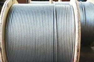 䓽z�K�����������ü�Ҫ������Щ��