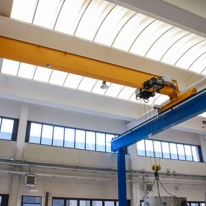 �������ؙC(j��)  customised crane